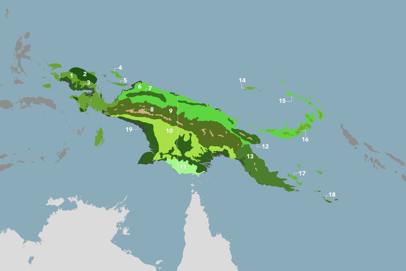 New Guinea & Surrounding Islands (AU13) | One Earth